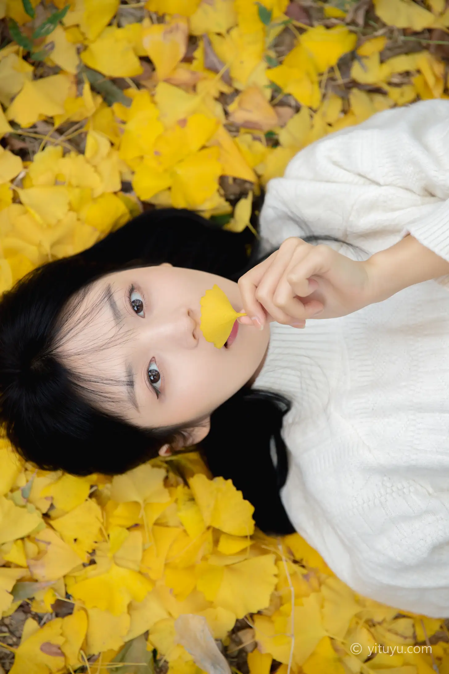 [YITUYU] 2021.08.14 Vol.131 – Ginkgo Love Yuwen#[39P]-27